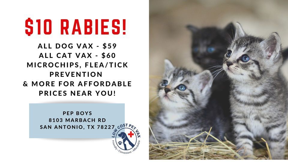 San Antonio Low Cost Pet Shots (Marbach Rd), Pep Boys (San Antonio