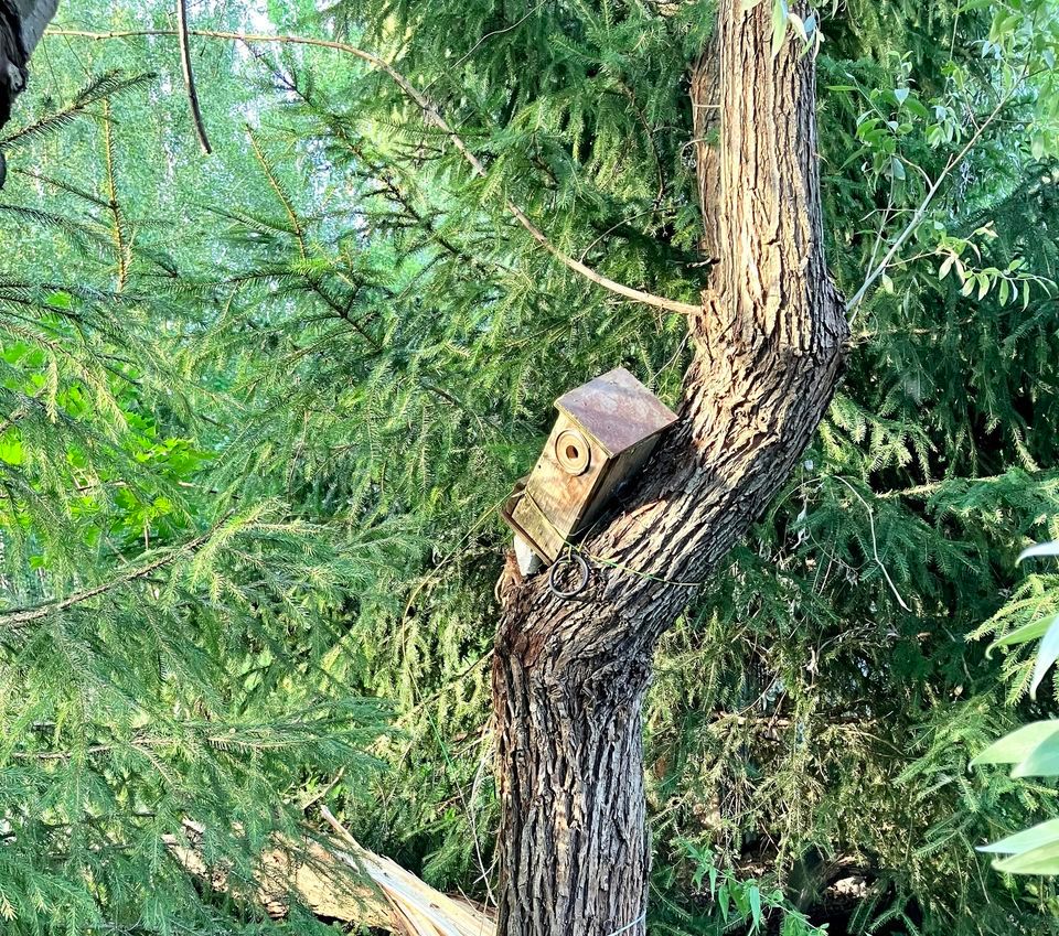 Olen vähän siinä ja siinä - Lukutapahtuma, Tapiolan kirjasto ...