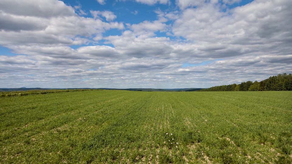 Farmer Climate Forums Approaching Nutrient Management in a Changing