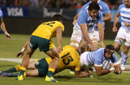 Australia Vs Argentina Rugby Championship 2020 Bankwest Stadium Sydney 5 December