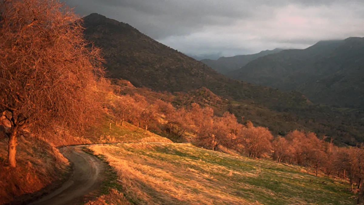 Gill Landry, Blair Borax, Old Crow Medicine Show in Seattle, 12 December | Event in Seattle | AllEvents