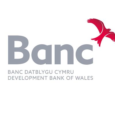 Development Bank of Wales logo