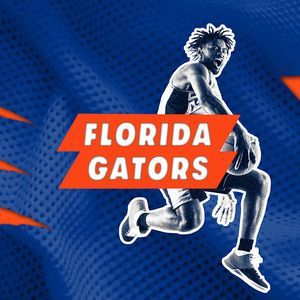 LSU Tigers at Florida Gators Mens Basketball
