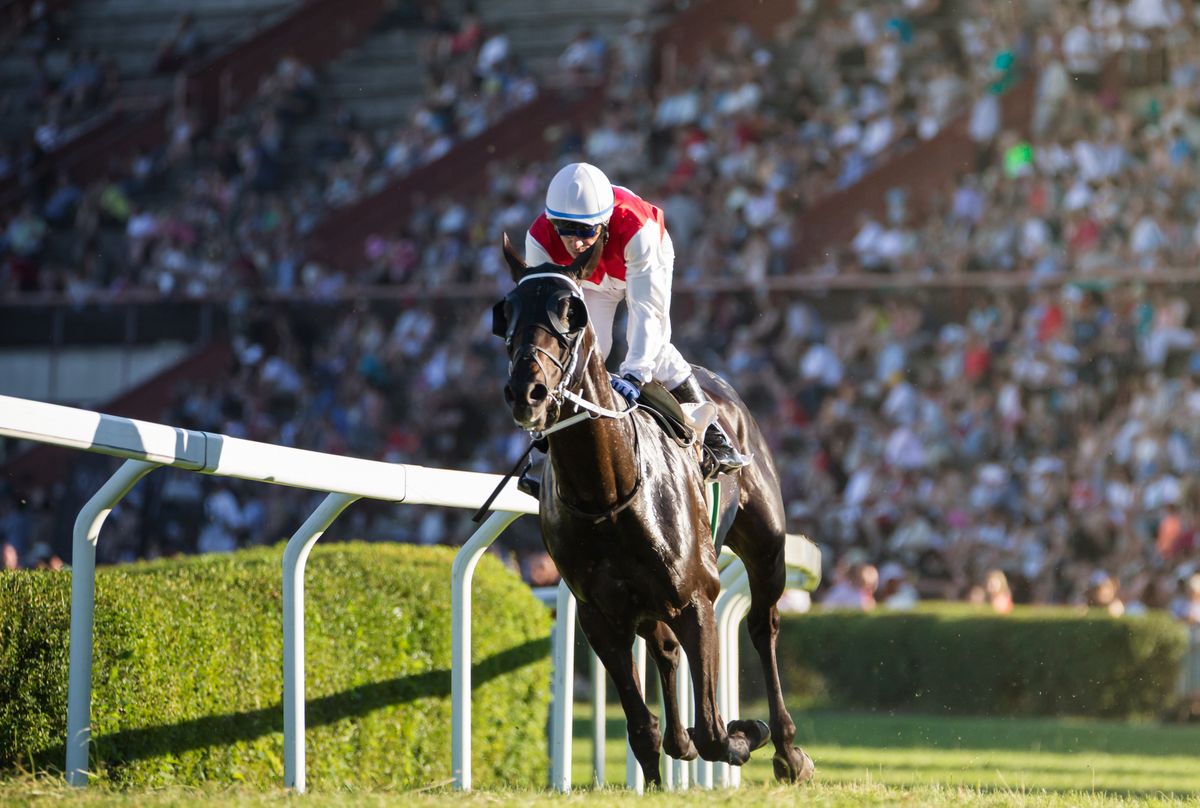 Preakness Stakes at Pimlico Race Course | Event in Baltimore | AllEvents