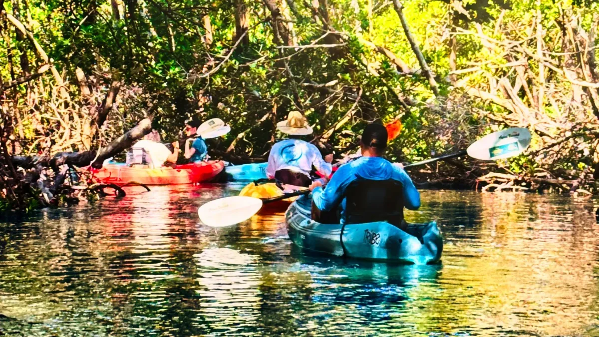 Paddle & Kayak Adventure in Lido Key, 21 September | Event in Sarasota | AllEvents