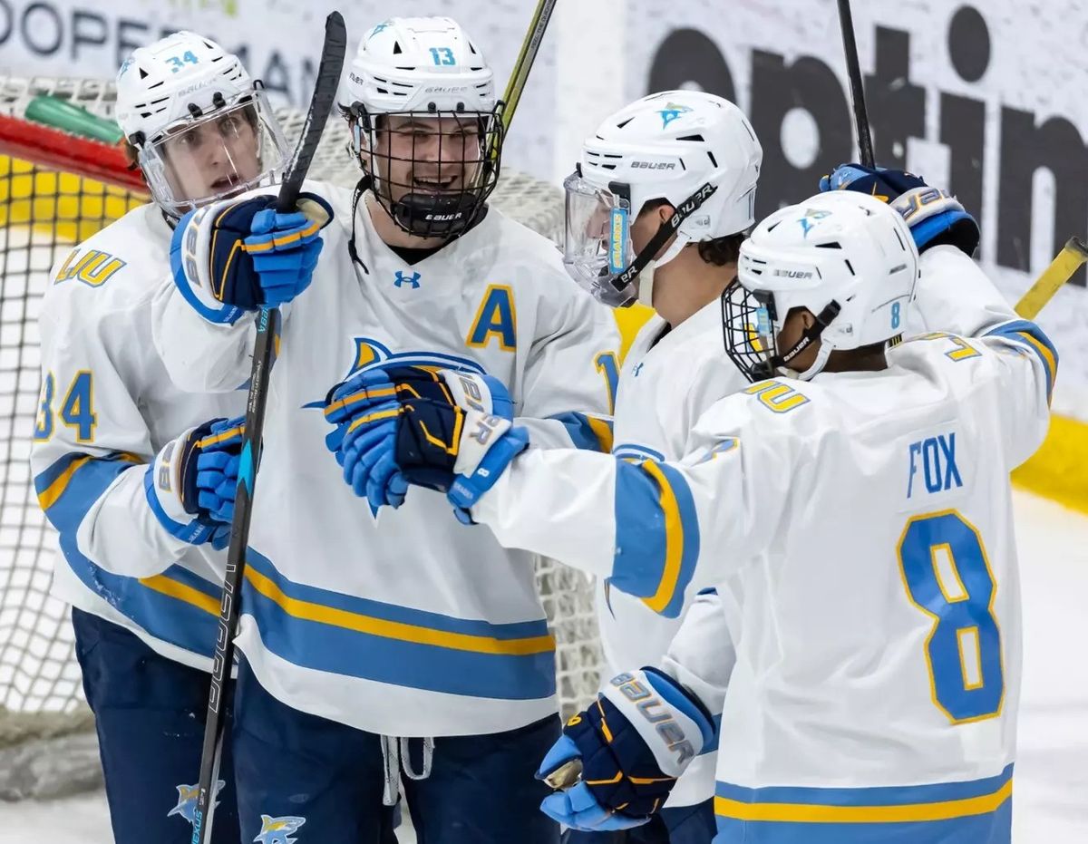 LIU Sharks at Minnesota Golden Gophers Mens Hockey at 3M Arena at Mariucci, 15 November | Event in Minneapolis