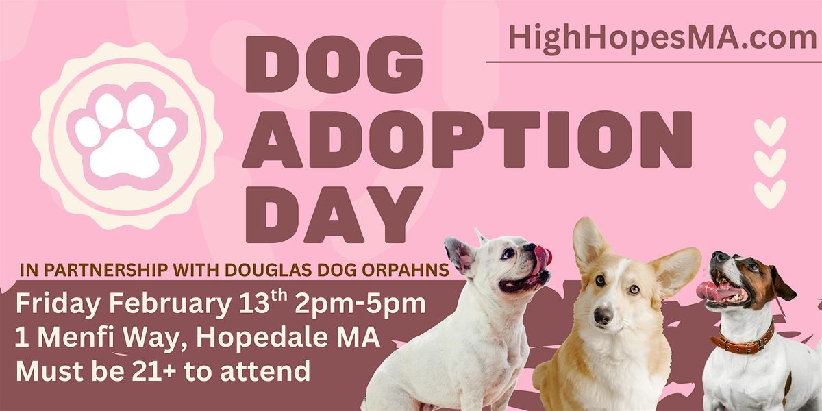 DOG ADOPTION DAY AT HIGH HOPES