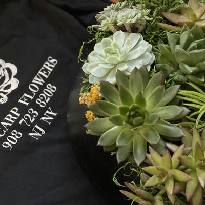 Polycarp Flowers logo