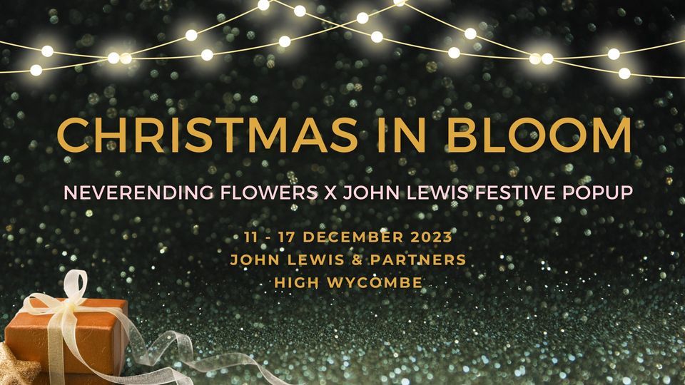 Christmas in Bloom Neverending Flowers x John Lewis Festive Popup
