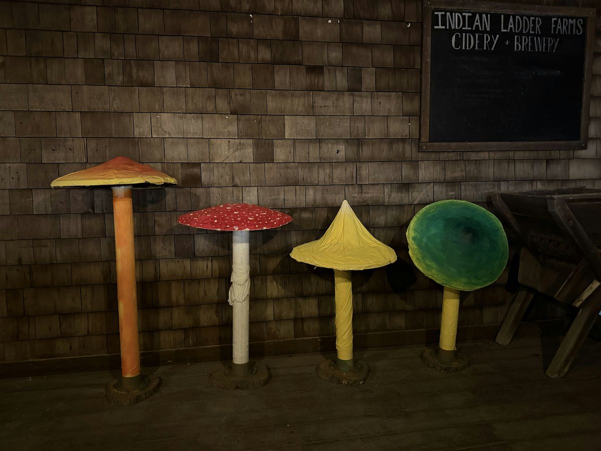 A Mushroom Experience Dinner at Indian Ladder Farms, 13 December | Event in Altamont | AllEvents