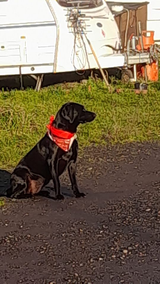 Highgate Walk, Kendal Brewery Arts Centre, January 1 2024 AllEvents.in