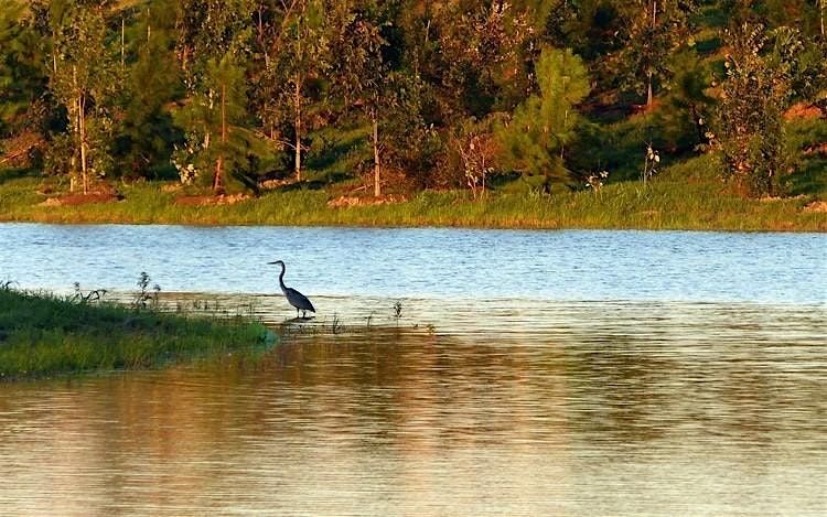 MLK Volunteer Day at Willow Waterhole, 19 January | Event in Houston | AllEvents