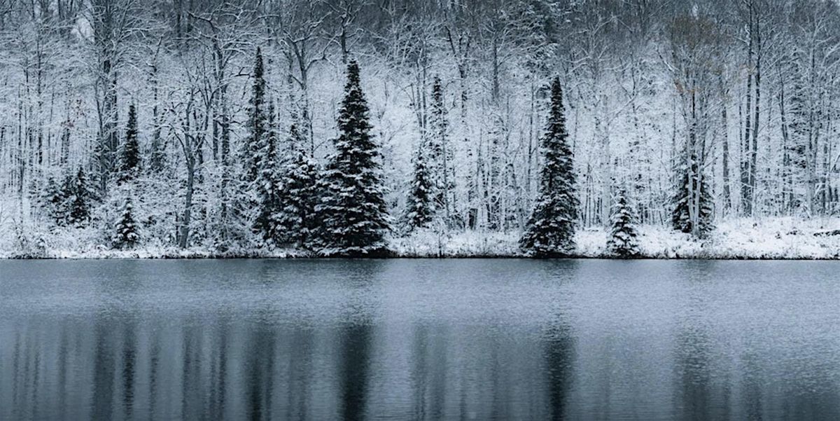 Winter Wonderland, 8 January | Event in Madison | AllEvents