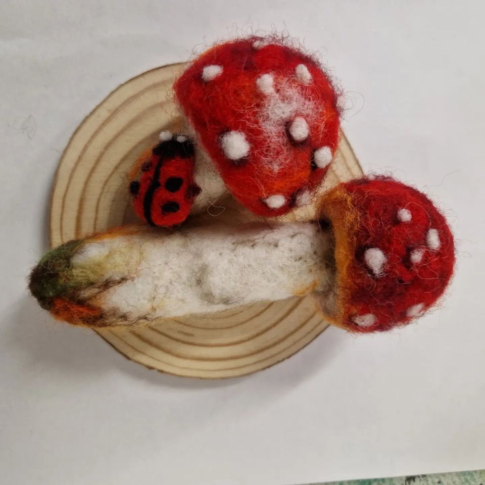 3D Needle felting Con's creations craft shop, Kildare, June