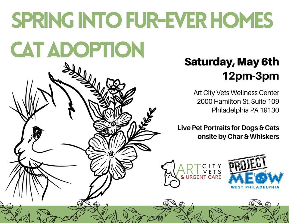 Spring Into Furever Homes, Cat Adoption! , Art City Vets & Urgent Care