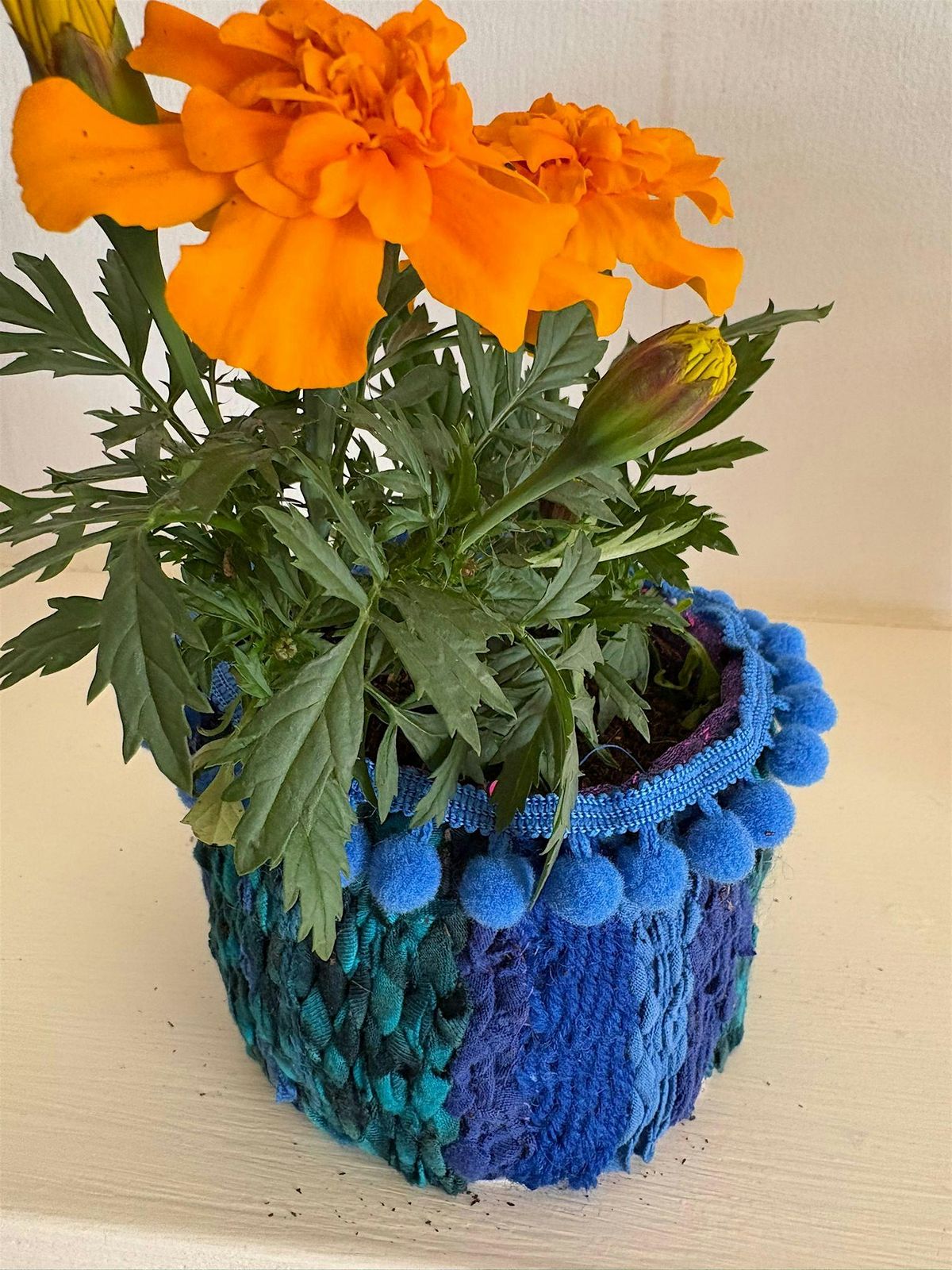 Festive Weave a Multipurpose Pot in Brighton, 4 December | Event in Brighton | AllEvents