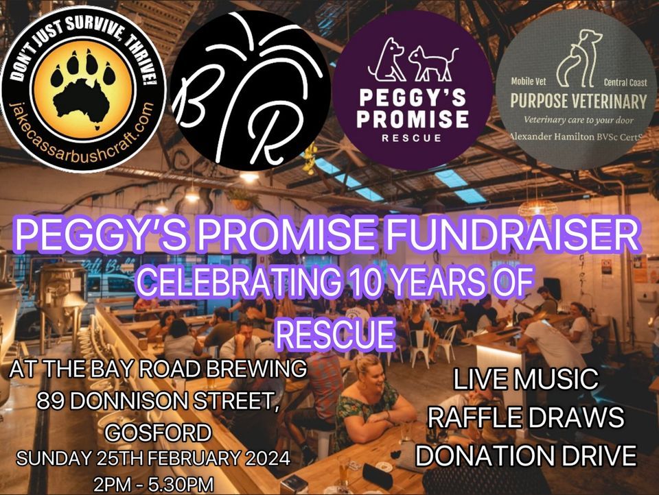 Peggy’s Promise 10 Years Fundraiser, Bay Road Brewing, Gosford, 25