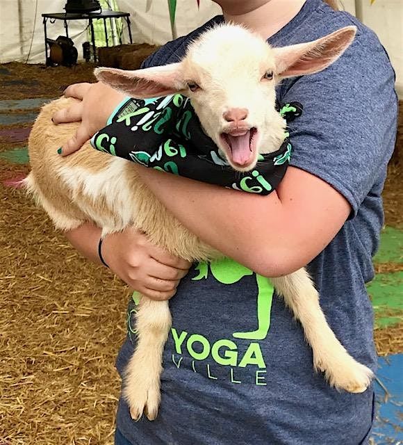 Goat Yoga Nashville- For the Luck O the Goats, Goat Yoga Nashville ...