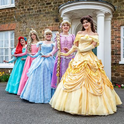 The Magic of a Princess