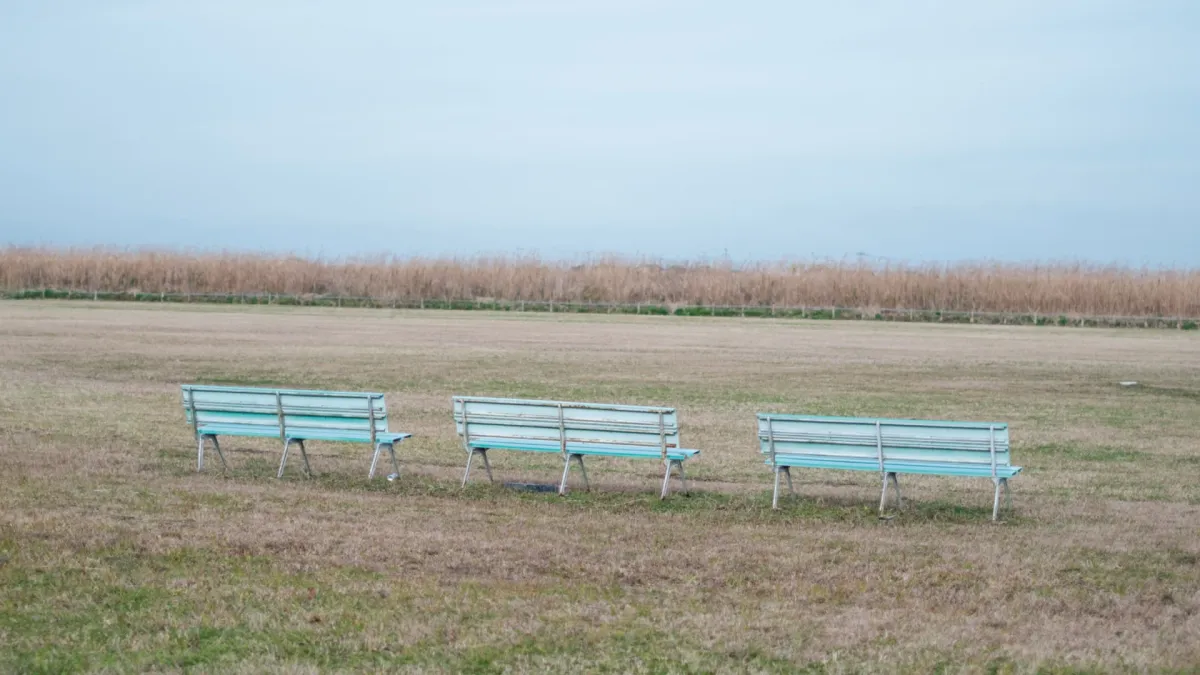 Umitaro Abe, Haruki Murakami in 豊島区, 17 January | Event in Wakamatsu | AllEvents