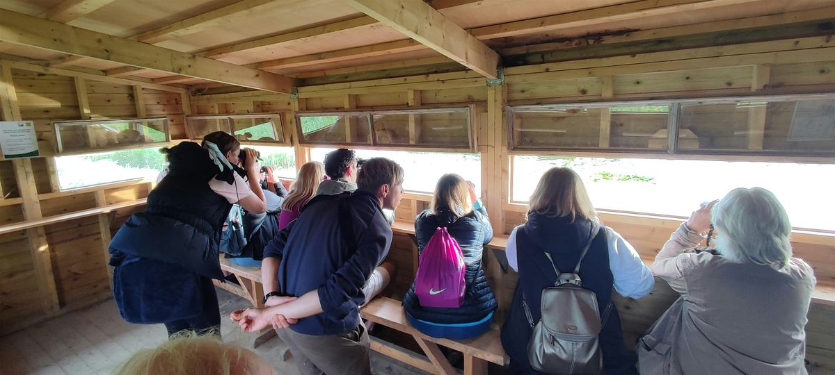 Pegwell Bay Guided walk, 17 January | Event in Cliffsend | AllEvents