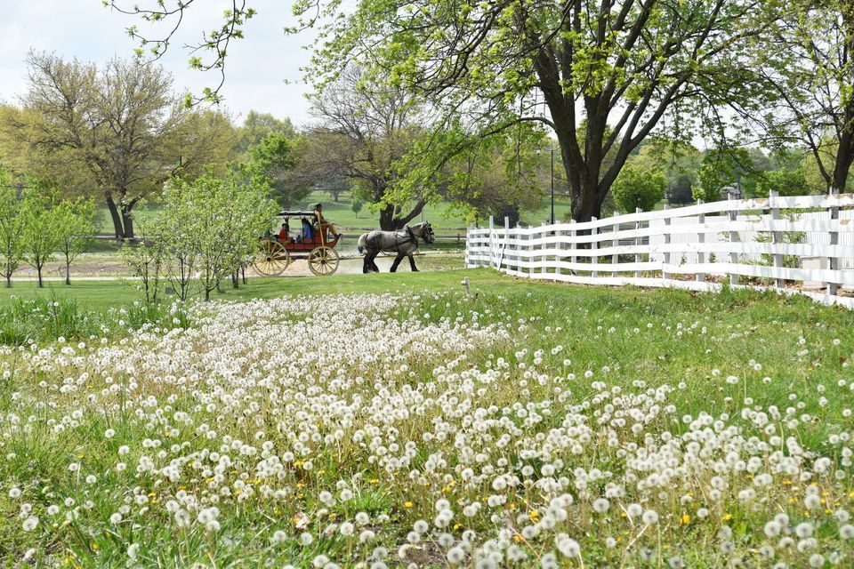 Spring Break Living History, 1200 E Kansas City Rd, Olathe, KS 66061