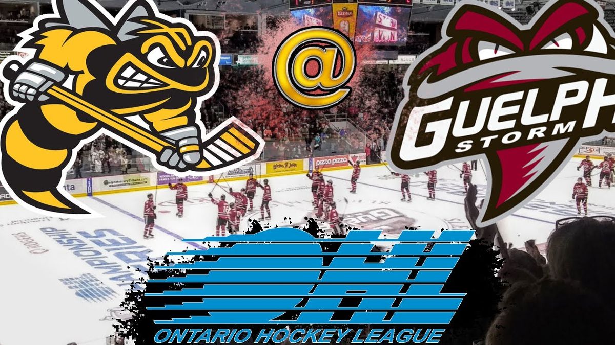 Sarnia Sting at Guelph Storm, 13 December | Event in Guelph | AllEvents