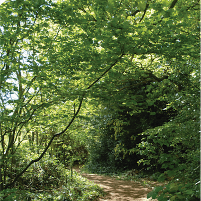 Martineau Gardens logo