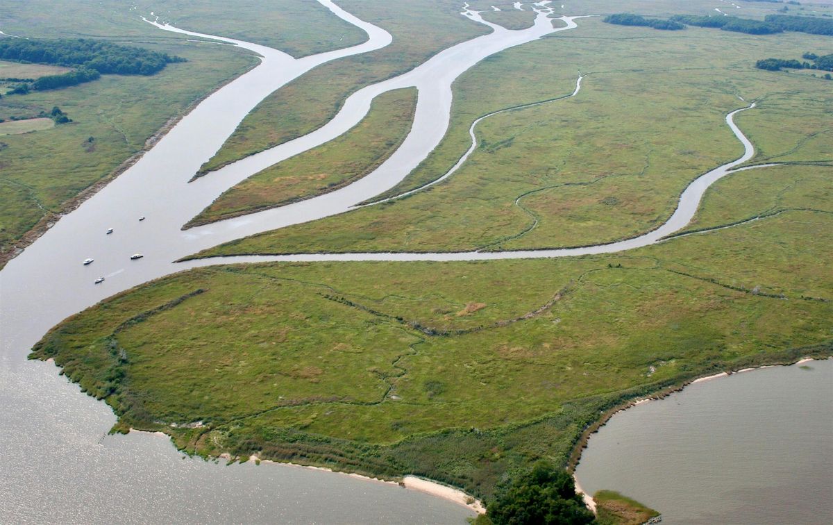 Wetlands 101: A Prized Natural Resource in Delaware, 9 January | Event in Bethany Beach | AllEvents