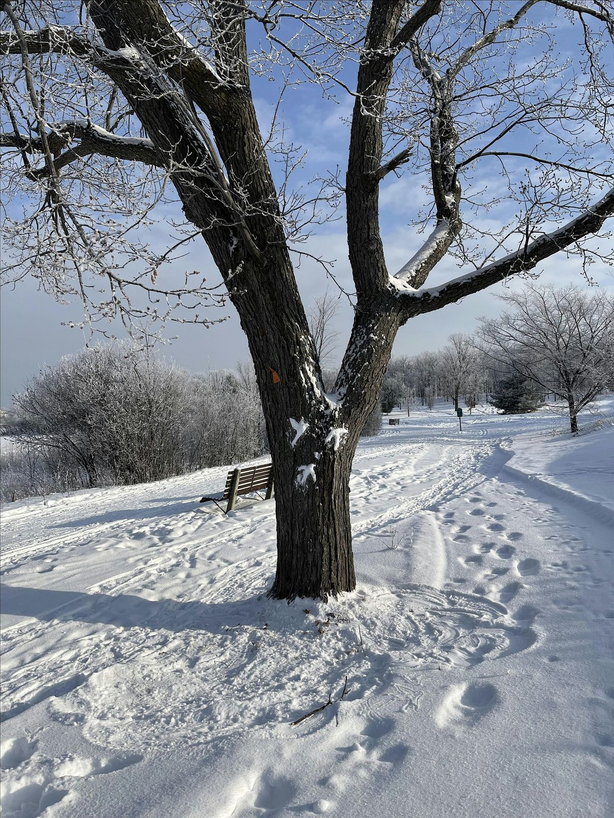 Ephemeral Art Making Workshop -Snow & Connection, 28 February | Event in Ottawa | AllEvents