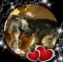 User profile photo