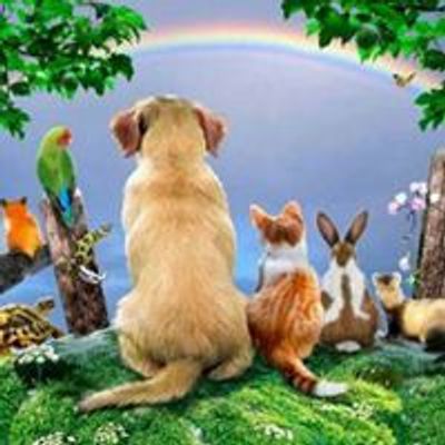 Rainbow Rescue Telford - Small Animal