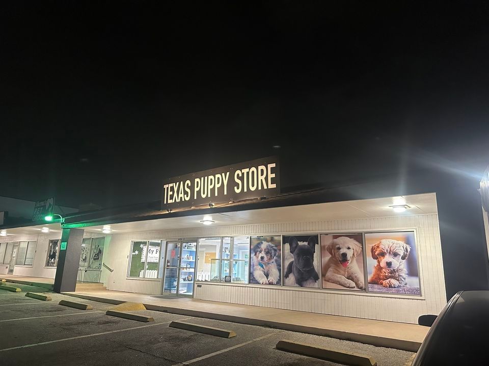Come pet a puppy , 6904 bandera rd, San Antonio, TX, Leon Valley, 12