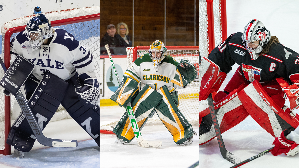 Parking RPI Engineers at Clarkson Golden Knights Womens Hockey, 16 January | Event in Potsdam | AllEvents