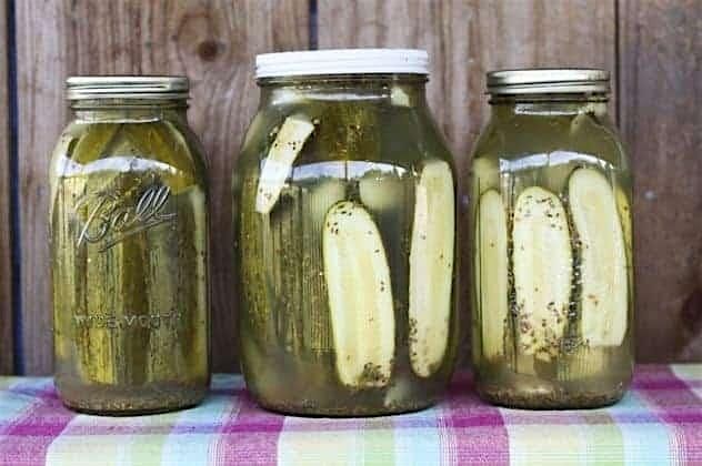 Pickles 101, 19 September | Event in Sparks | AllEvents