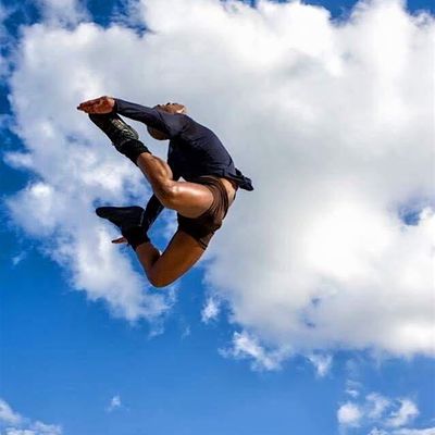 La Danza por Dentro logo