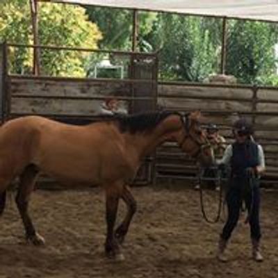 Claire Connaghan- Certified Monty Roberts Instructor