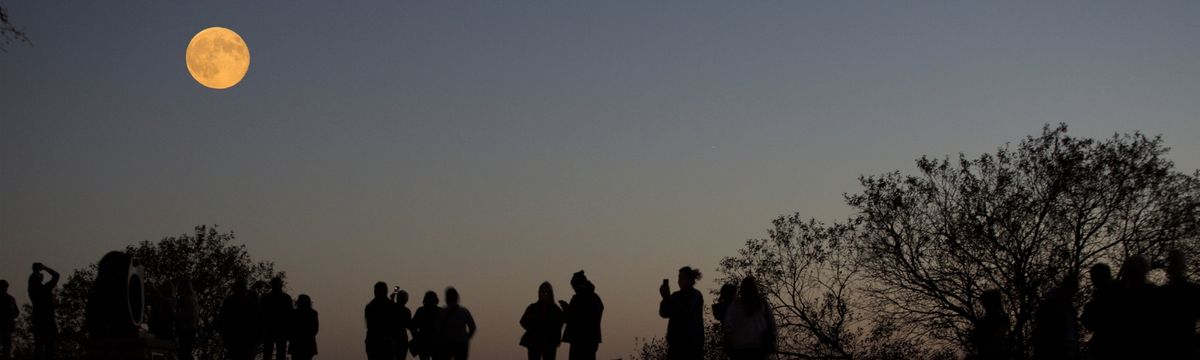 The Silhouttes at McMorran Place Sports and Entertainment Center, 1 May | Event in Port Huron | AllEvents