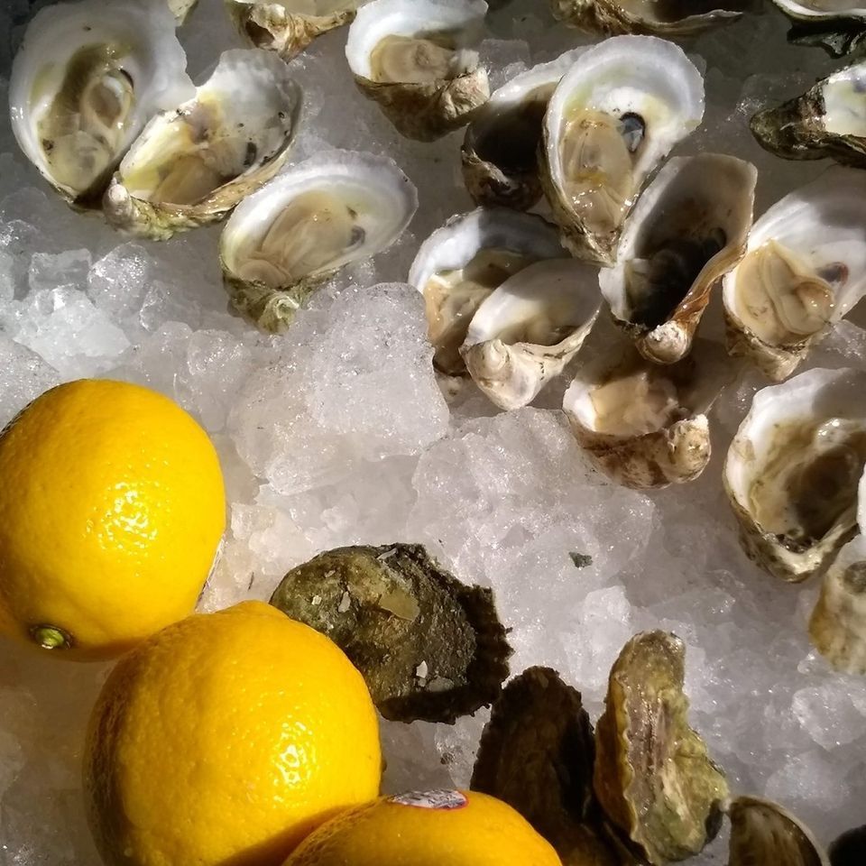 1/11 Fresh NC Oysters (inside!), 1792 Beer Co., Roxboro, January 11