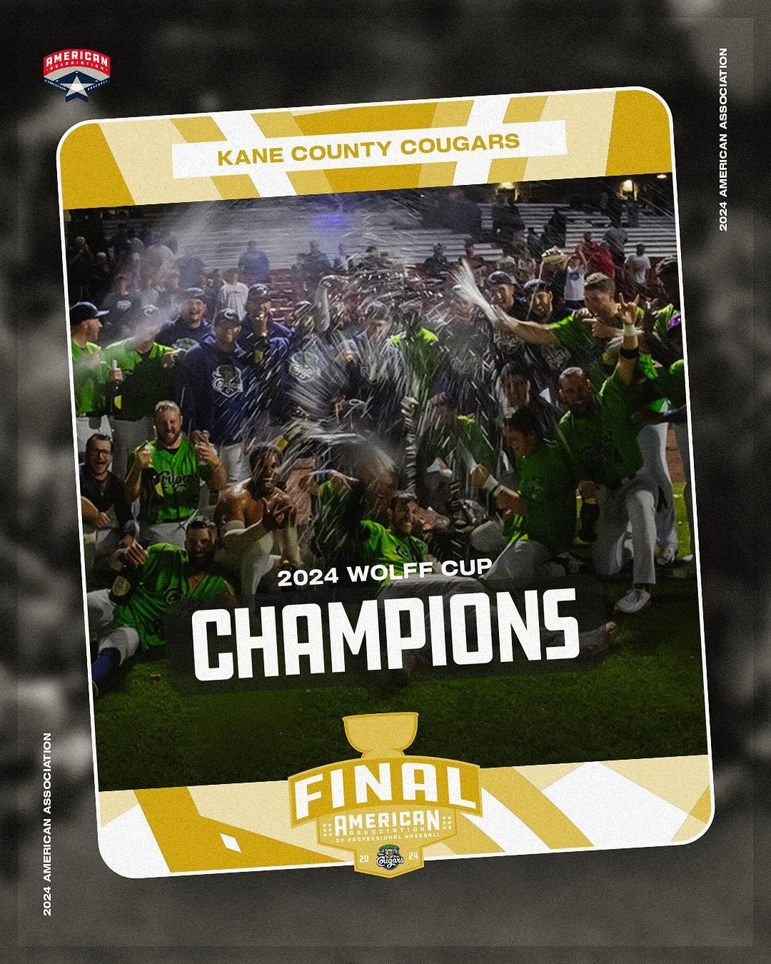 Gary SouthShore RailCats vs. Kane County Cougars, 28 June | Event in Gary | AllEvents