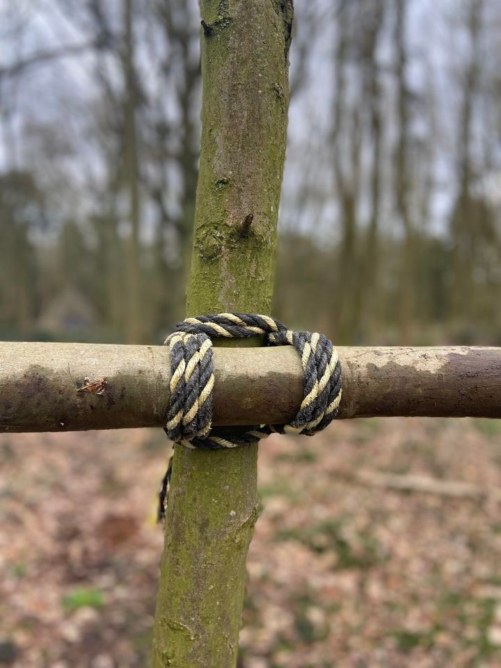 Forest School CPD - Rope Skills, Manor Wood, Huntingdon, 6 April 2024 ...