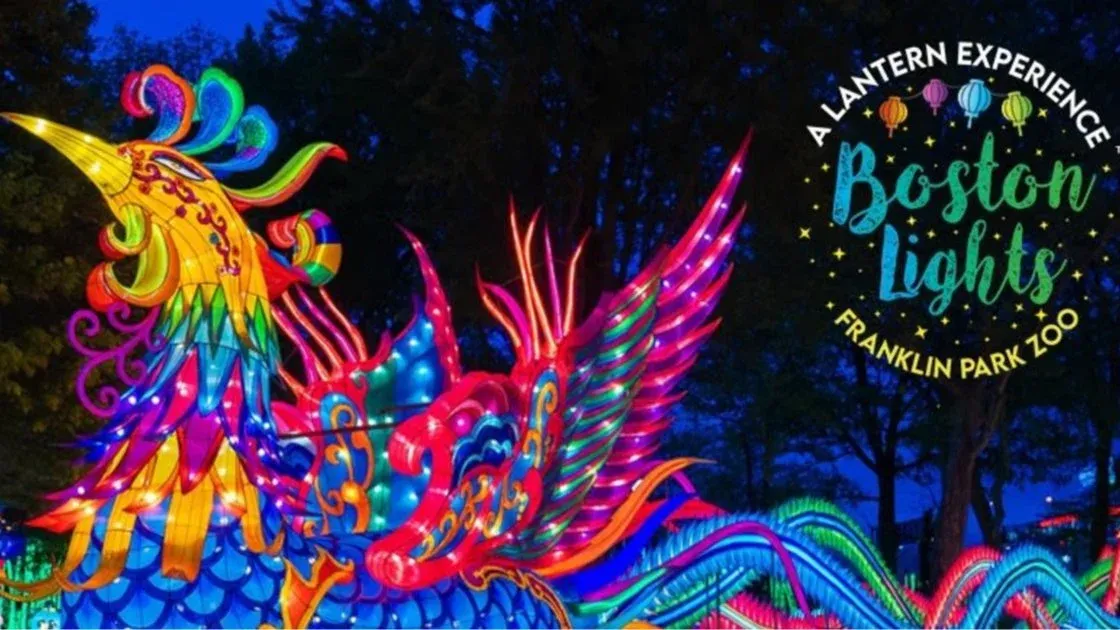 Boston Lights: A Lantern Experience at Franklin Park Zoo, 12 October | Event in Boston | AllEvents