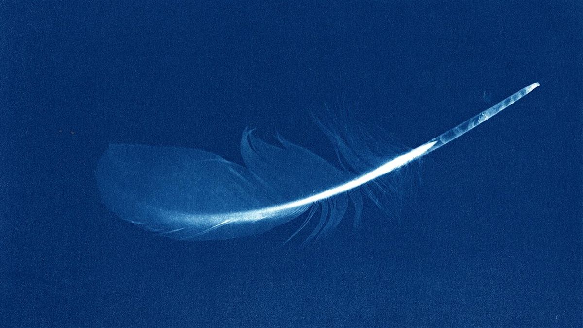 Introduction to Cyanotype, 10 January | Event in Edinburgh | AllEvents