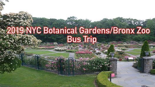 Led Video Wall For Sale Ebay Led Video Wall For Sale Ebay