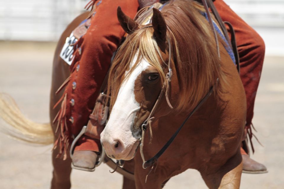 AQHA Ranching Heritage Challenge Tri State Fair Ranching Heritage AQHA Ranching Heritage Challenge Tri State Fair Ranching Heritage
