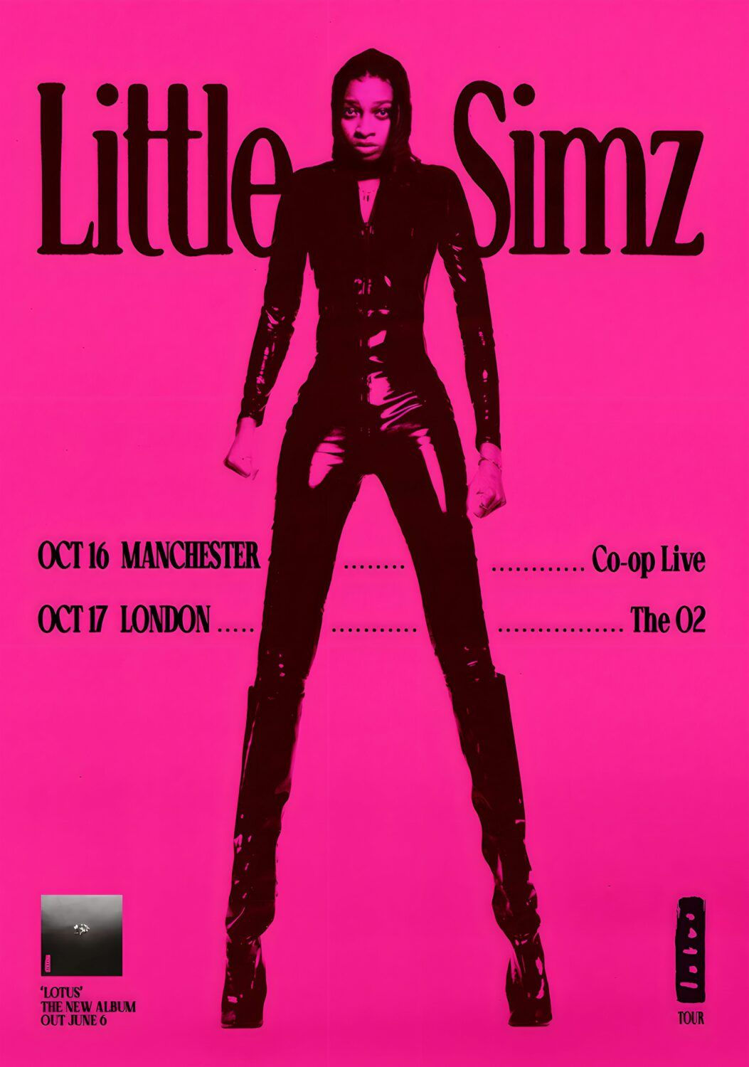 Little Simz Manchester Tickets, 16 October | Event in Manchester | AllEvents
