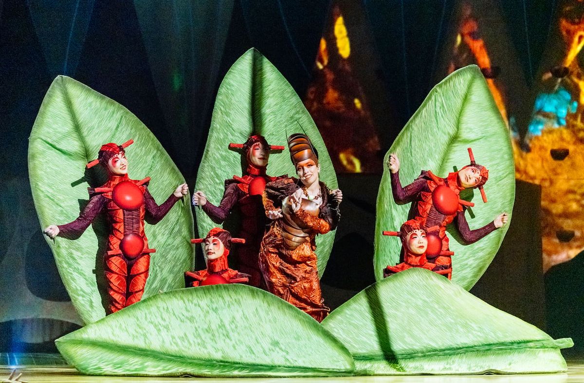 Cirque Frost | Event in Grapevine | AllEvents