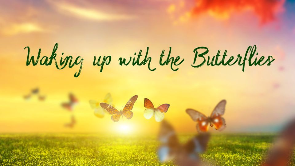 Waking Up with Butterflies, Butterfly Wonderland, Scottsdale, 28
