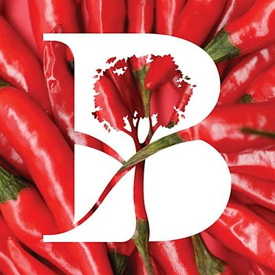 Pepper Street Arts Centre logo