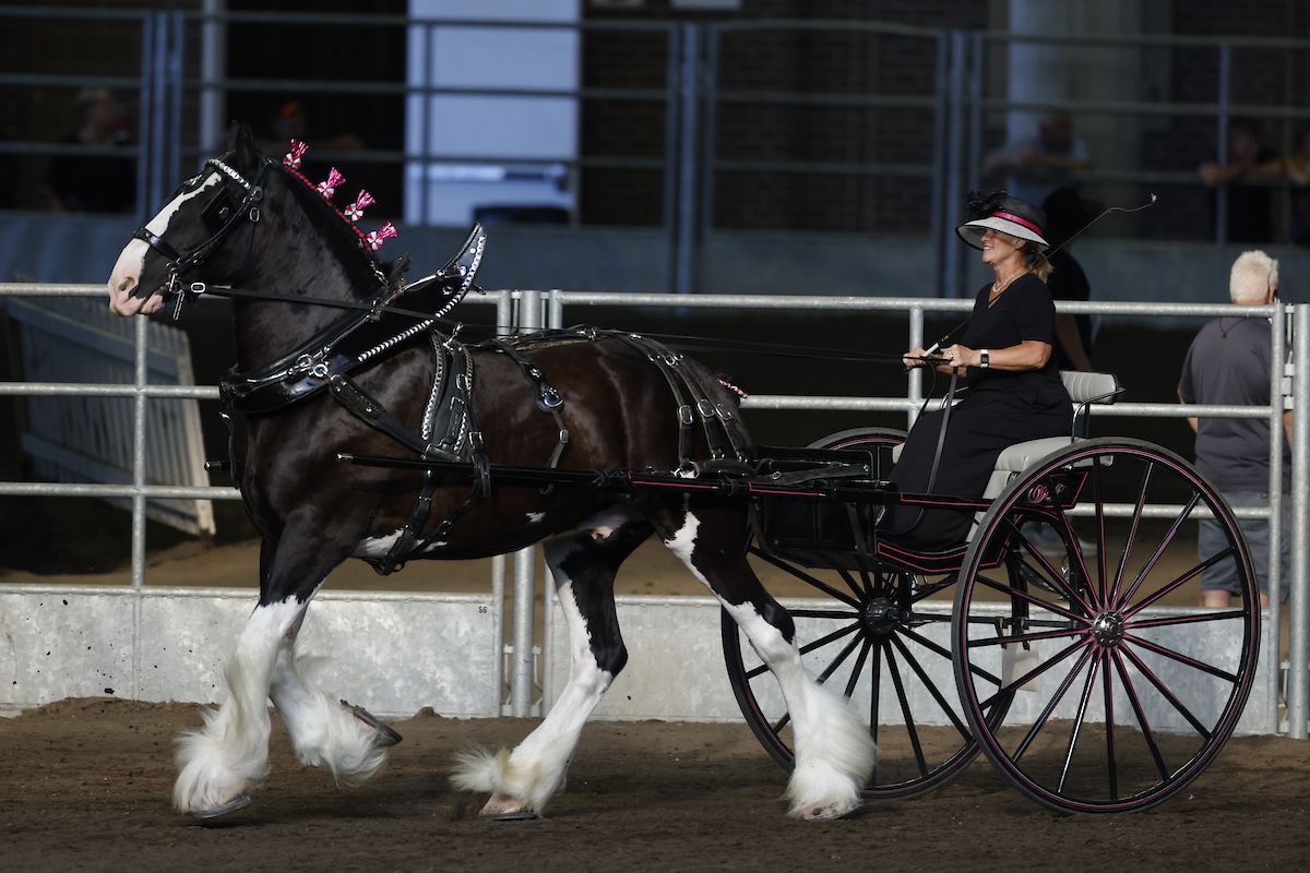 Iowa State Fair - Des Moines, 7 August | Event in Des Moines | AllEvents